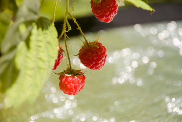 Similar image 693816