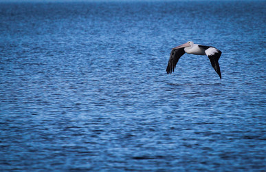 Similar image 693906