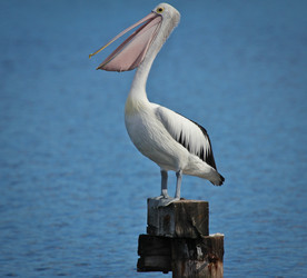 Similar image 693907