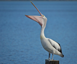 Similar image 693908