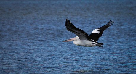 Similar image 693911