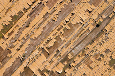 Similar image 693913