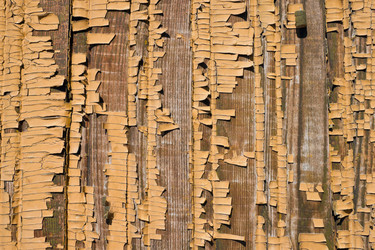 Similar image 693914