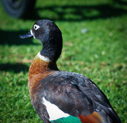 Similar image 693918