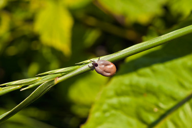 Similar image 693927