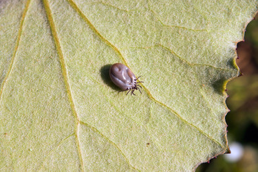 Similar image 693928