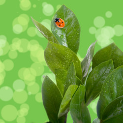 Similar image 693962