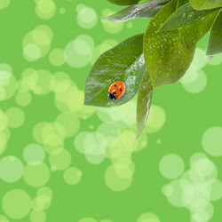 Similar image 693965