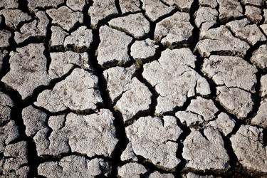 Similar image 693973