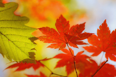 Similar image 694003