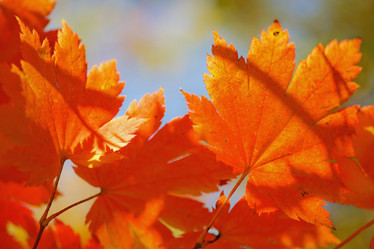 Similar image 694007