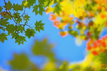 Similar image 694016