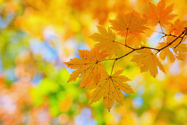 Similar image 694022