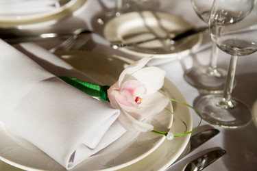 Similar image 694027