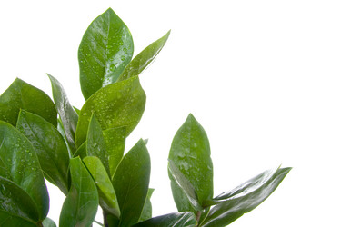 Similar image 694045