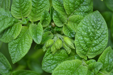 Similar image 694058