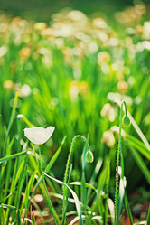 Similar image 694089