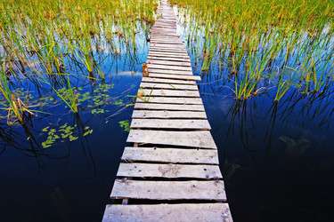 Similar image 694097