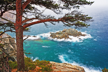 Similar image 694119