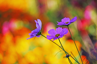 Similar image 694124