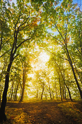 Similar image 694126