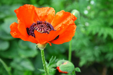 Similar image 694247