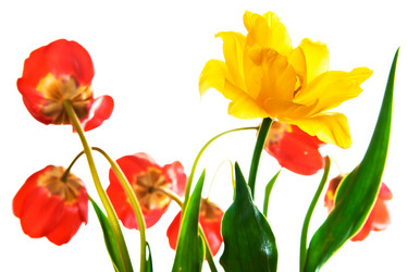 Similar image 694248