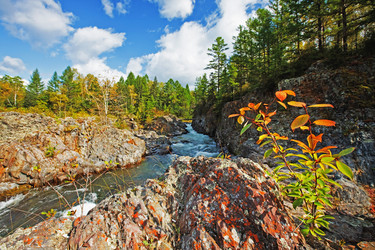 Similar image 694368