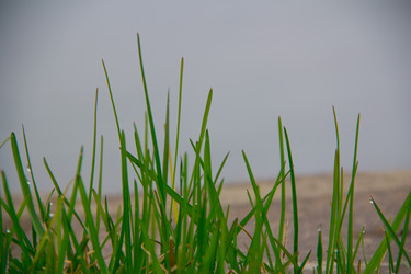 Similar image 694373