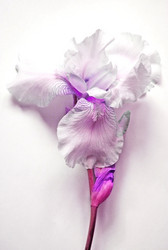 Similar image 694445