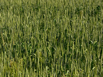 Similar image 694485