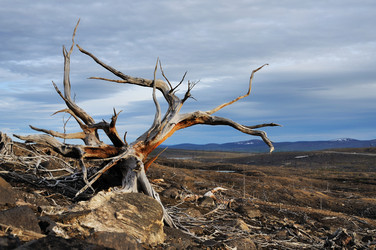 Similar image 694490