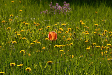 Similar image 694493