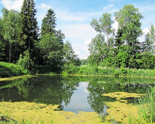 Similar image 694507