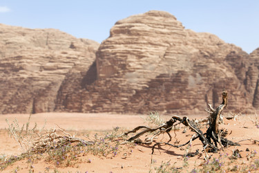 Similar image 694508