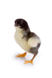 Similar image 694585