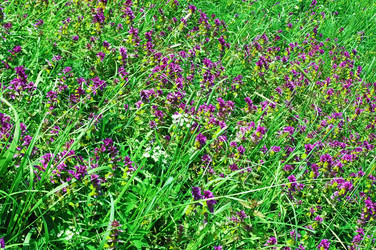 Similar image 694586