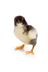 Similar image 694587