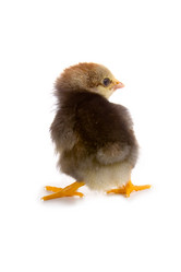 Similar image 694588