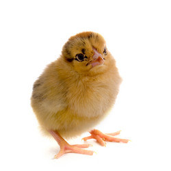 Similar image 694591