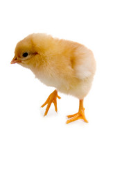 Similar image 694593