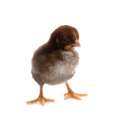 Similar image 694595