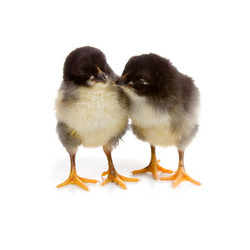 Similar image 694597