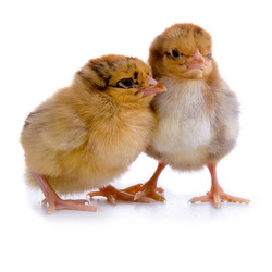 Similar image 694600