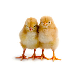 Similar image 694601