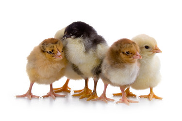 Similar image 694604