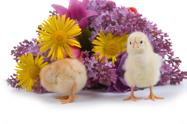 Similar image 694610