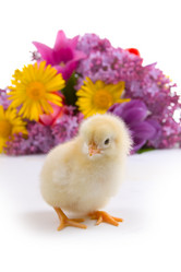 Similar image 694612