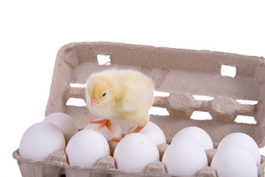 Similar image 694618