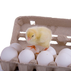 Similar image 694619